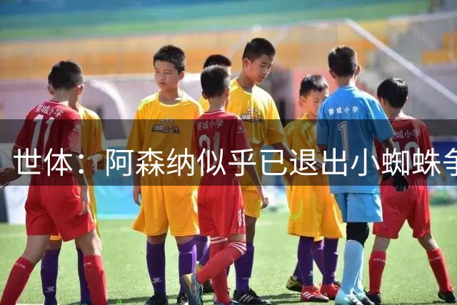 世体：阿森纳似乎已退出小蜘蛛争夺战，巴萨仍将其视为首选目标