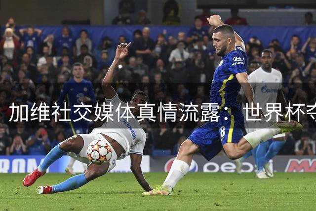 加维社交媒体真情流露：世界杯夺冠庆典成西班牙黄金一代永恒记忆