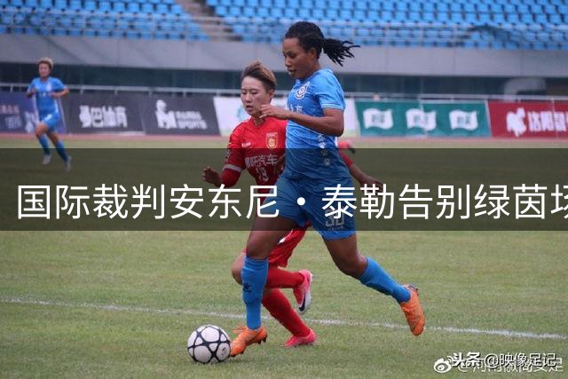 国际裁判安东尼·泰勒告别绿茵场，结束20年执法生涯