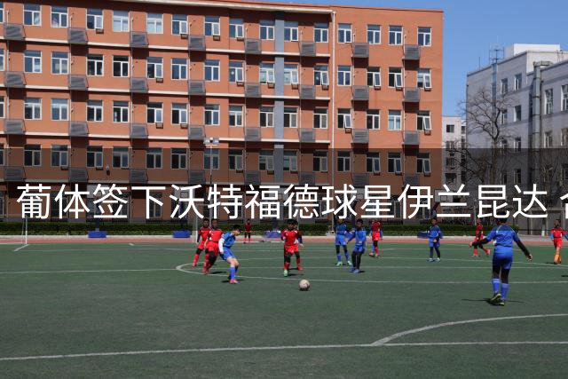 葡体签下沃特福德球星伊兰昆达 合约至2031年