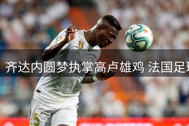 齐达内圆梦执掌高卢雄鸡 法国足球迎来新时代