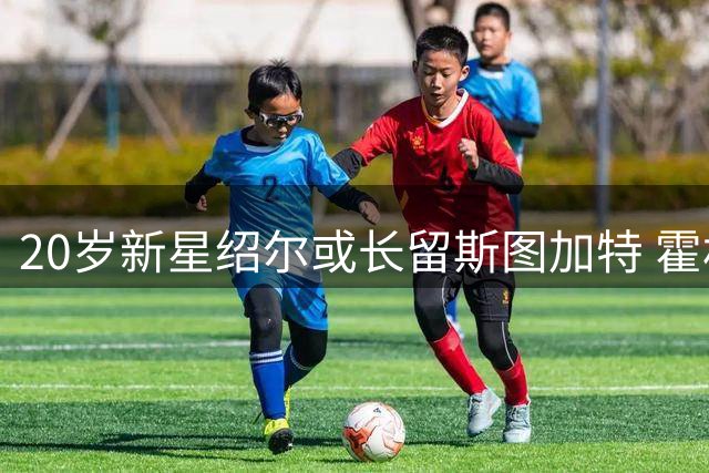 20岁新星绍尔或长留斯图加特 霍村转向达希姆引关注